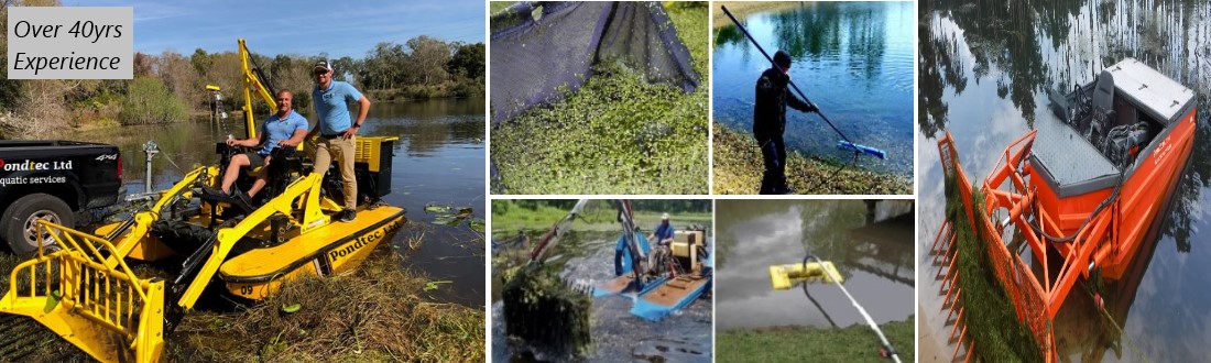 pond-weed-cleaning-image